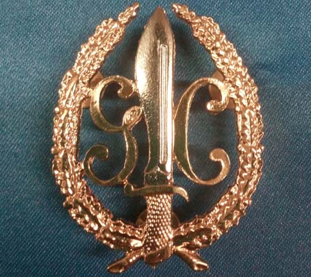 Distintivo COE Guardia Civil para boina